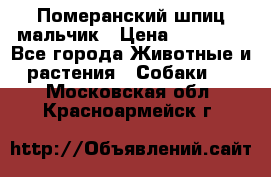 Померанский шпиц мальчик › Цена ­ 30 000 - Все города Животные и растения » Собаки   . Московская обл.,Красноармейск г.